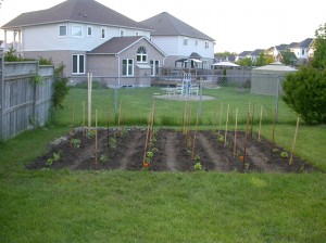 2009 Garden, First Planted